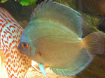 DSCN0105.jpg